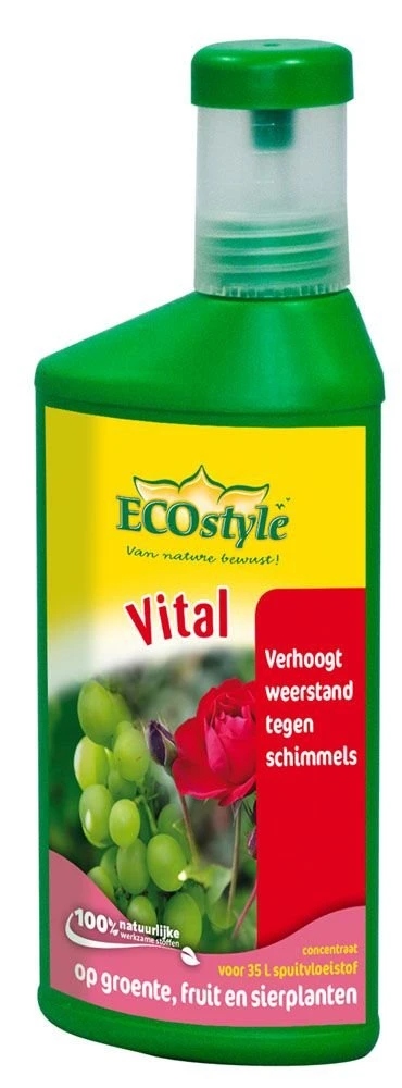 ECOstyle Vital Concentraat 250 Ml 1 ECOstyle Vital Concentraat 250 Ml
