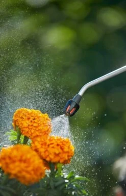 GARDENA Drukspuit 5 L 5 GARDENA Drukspuit 5 L -Tuinproducten Verkoop gardena drukspuit 5 l 1619704865 1 l