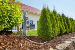 GARDENA Micro-Drip-System Startset M 25m Autom. Rijplanten -Tuinproducten Verkoop gardena startset m 25m autom 1500x1000 640af4f6bb51a l