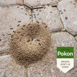 Pokon Tegen Mieren Korrels 400gr -Tuinproducten Verkoop pokon tegen mieren korrels 400gr 1000x1000 6221fb52c5ede l