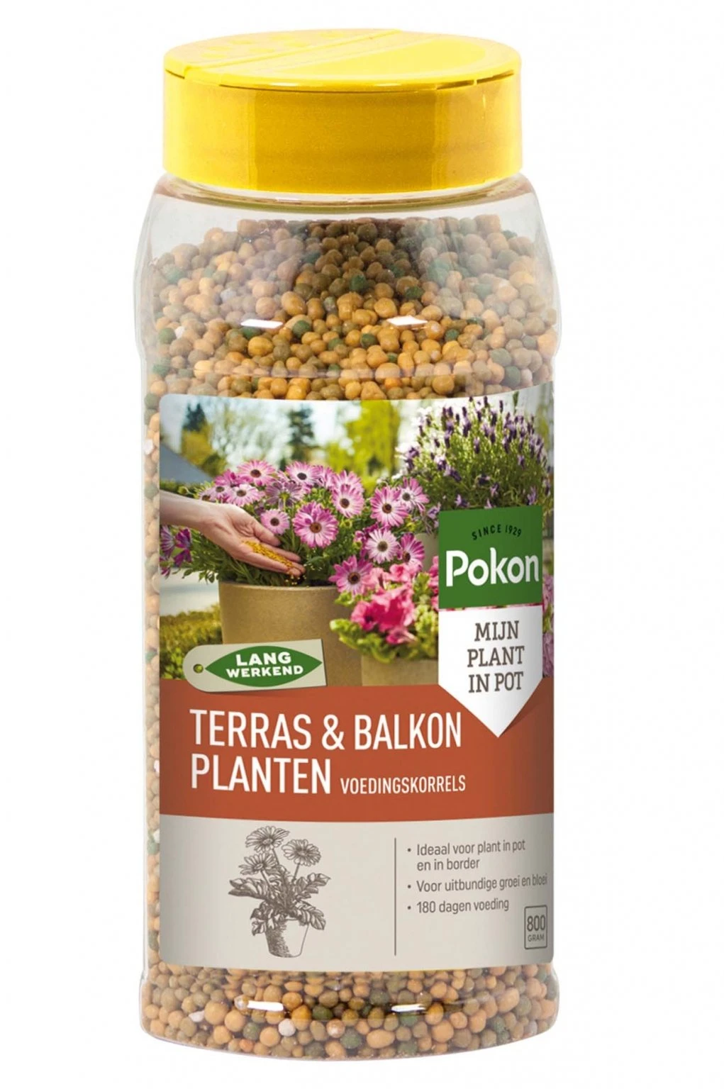 Pokon Terras & Balkon Planten Voedingskorrels 800g 1 Pokon Terras & Balkon Planten Voedingskorrels 800g
